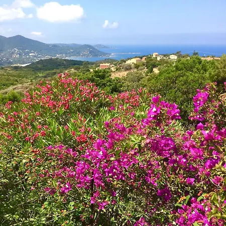 Superb Sea View With Pool And Big Garden * Pietrosella