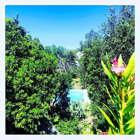 Superb Sea View With Pool And Big Garden Vakantiehuis