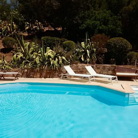 Superb Sea View With Pool And Big Garden *