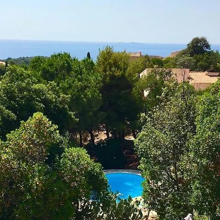 Superb Sea View With Pool And Big Garden