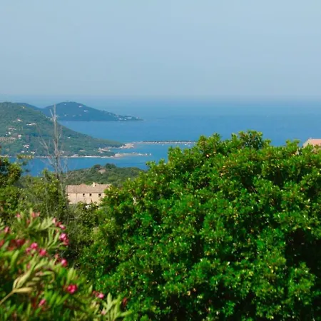 Superb Sea View With Pool And Big Garden *