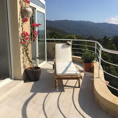 Superb Sea View With Pool And Big Garden *